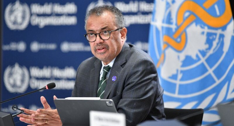 WHO head 'deeply concerned' over 'scale and speed' of Ebola spread, says emergency committee will meet