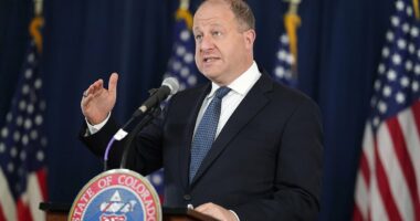 Western state branded 'new California' as tech companies flee amid rising regulation