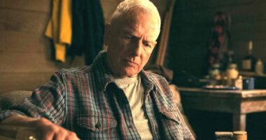 What NCIS' Gibbs Has Named His Dog, According To Mark Harmon