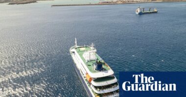 What is hantavirus, the infection that has killed three people on a cruise ship?