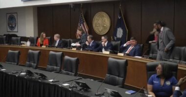 What to know about state Supreme Court Virginia redistricting ruling and more changes ahead of midterm elections 2026