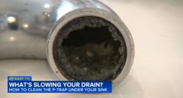 What's slowing your drain? How to clean the p-trap under your sink