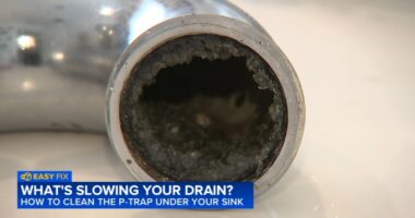 What's slowing your drain? How to clean the p-trap under your sink