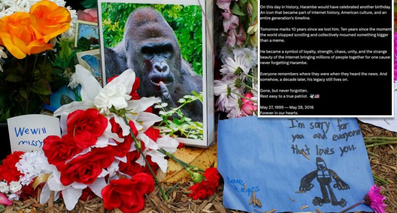 White House commemorates 'true patriot' Harambe on what would have been gorilla's 27th birthday in bizarre post: 'Rest easy'