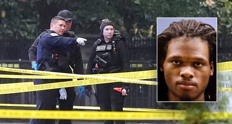 White House gunman had criminal record, history of mental health issues