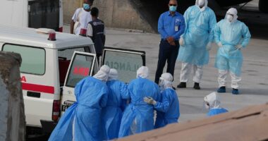 Why cruises are so prone to disease outbreaks and how to stay safe while sailing... as hantavirus that killed three spreads to America