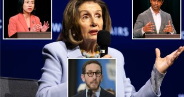 Why has Nancy Pelosi refused to endorse a candidate for her seat?