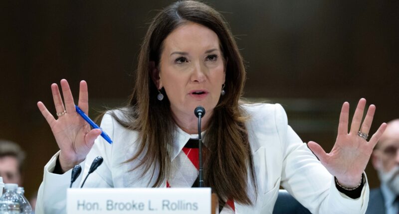 Why nearly 4.3 million people are no longer receiving food stamps