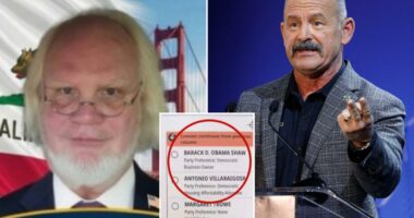Why there are 61 names on your ballot for governor â including Barack Obama