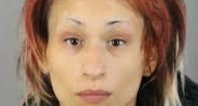 Woman allegedly kills boyfriend for bringing food home over bar trip