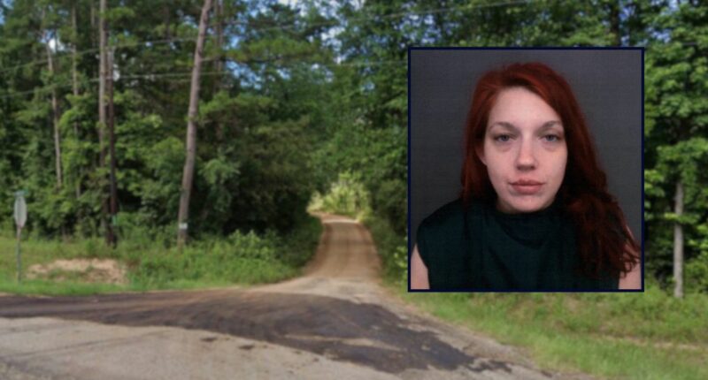 Woman allegedly shoots boyfriend 'between the eyes'