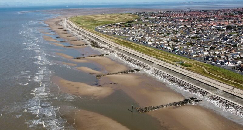 Woman dies after entering the sea 'in bid to rescue pet dog'