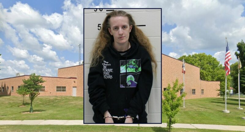 Woman gave drug-laced lasagna to pregnant woman