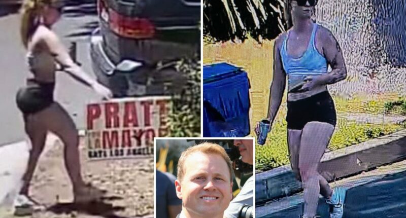Woman removes Spencer Pratt campaign signs in LA neighborhood