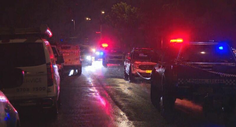Woman, two children killed in alleged DV attack