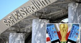 World Cup ticket prices kick fans in the grass