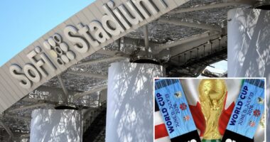 World Cup ticket prices kick fans in the grass