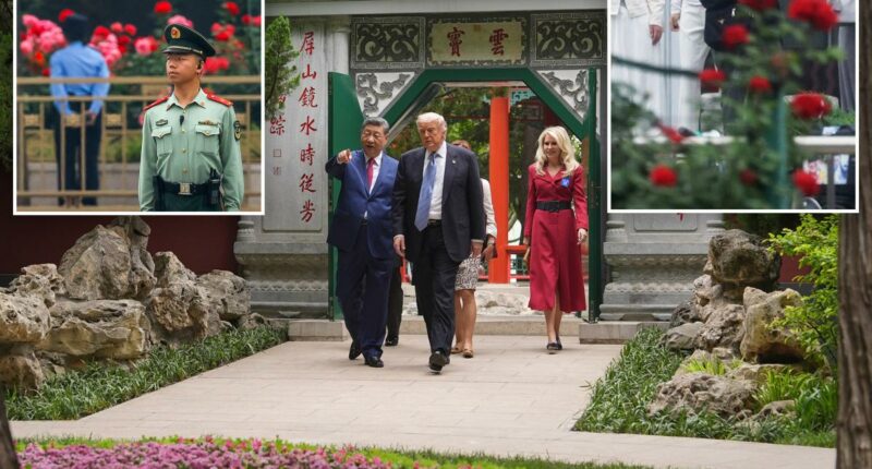 Xi vows to send seeds after Trump admires his 'most beautiful roses'