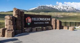 Yellowstone National Park, Wyoming news: Bear attack injures two hikers on Mystic Falls Trail near Old Faithful geyser