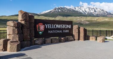 Yellowstone National Park, Wyoming news: Bear attack injures two hikers on Mystic Falls Trail near Old Faithful geyser