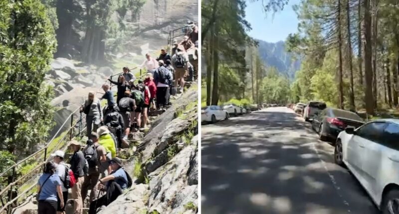 Yosemite National Park's reservation system ends, leading to 'chaos' in park over Memorial Day weekend