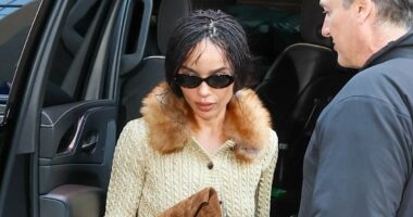 Zoe Kravitz leads stars at Anna Wintour's glitzy pre-Met Gala party