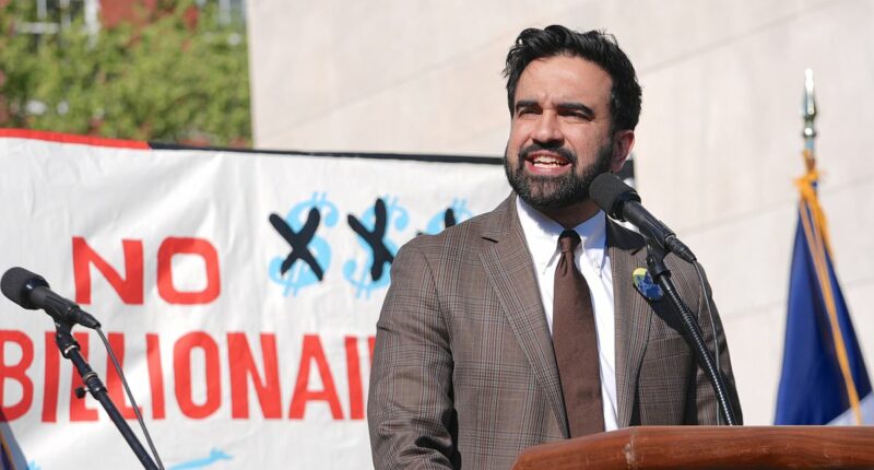 Zohran Mamdani meets with elite after divisive 'Tax the Rich' video