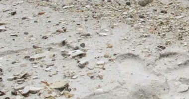 ‘Congrats:’ Florida beach ranks No. 1 in America