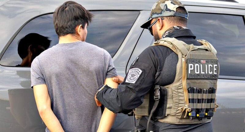 ‘Ghosts’ on Florida highways: Roadside stings snare 249 illegal immigrants, officers warn many more hiding