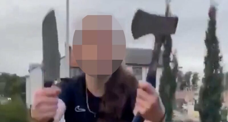 12-year-old arrested on the word of Bulgarian siblings is vindicated