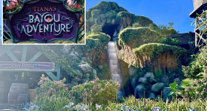 13-year-old boy falls down waterfall on Disneyland ride