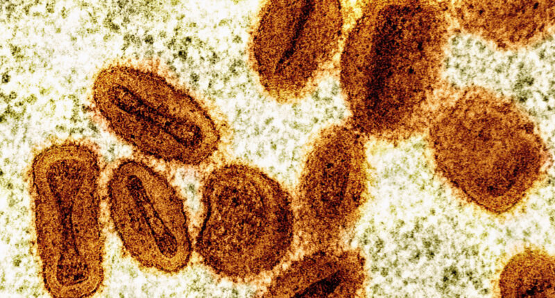 2 scientists charged with bringing deactivated mpox virus into the US and lying to authorities