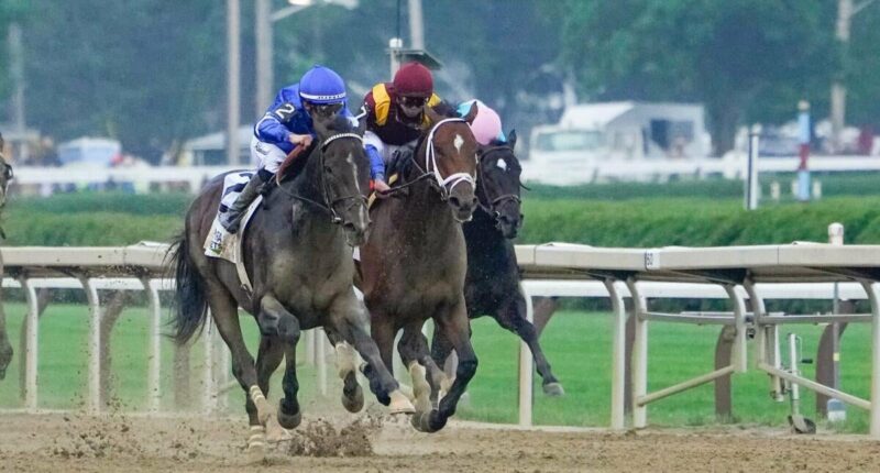 2026 Belmont Stakes odds, date, predictions: Expert who called 4 of last 8 winners shares horse racing picks