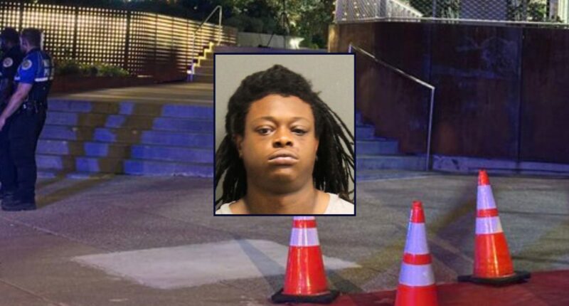 24-year-old guns down fleeing 12-year-old during brawl: Cops