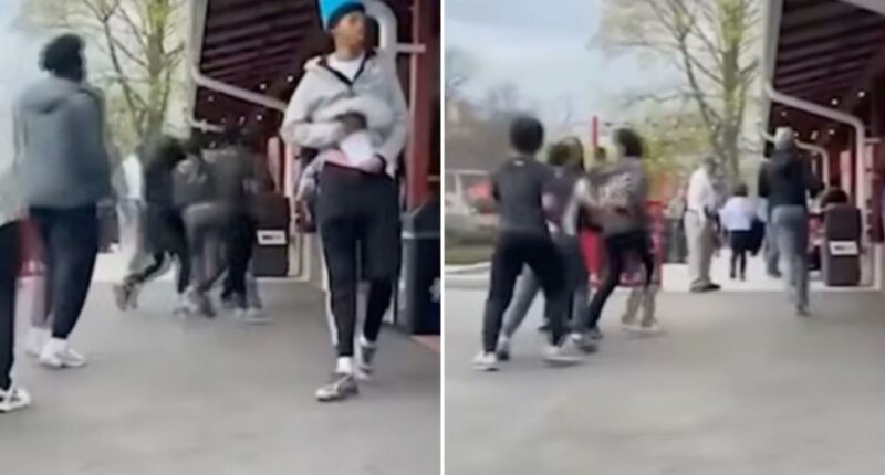 55 kids teens charged in Hersheypark opening day brawl