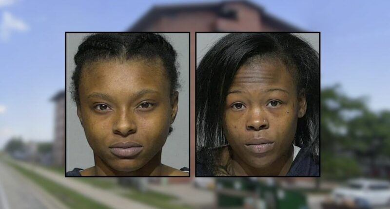 9-year-old shot by other child after the adults left home
