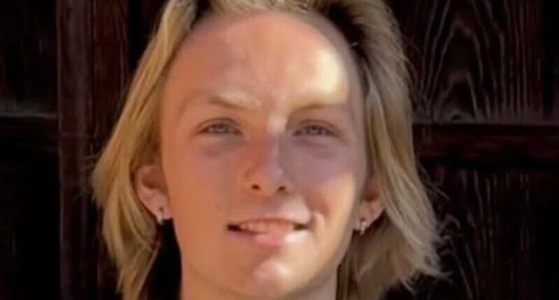 American college student, 20, suddenly goes missing in Japan