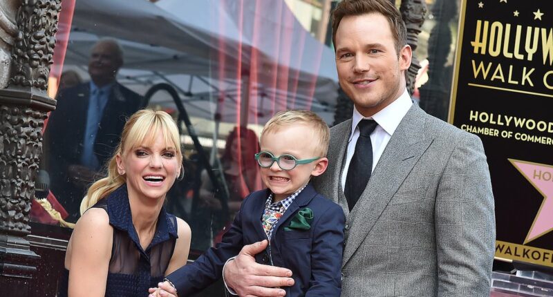 Anna Faris gets brutally honest in rare comment on Chris Pratt divorce