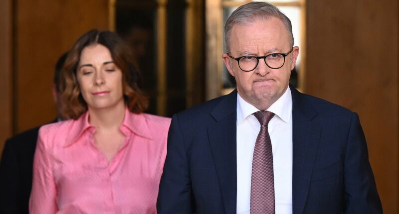 Anthony Albanese's Anika Wells problem explodes