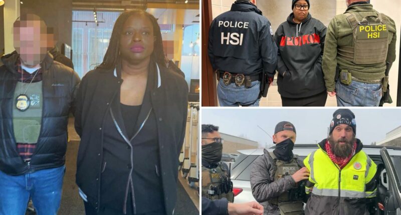 Anti-ICE mob that stormed Minnesota church service with Don Lemon won't face state charges