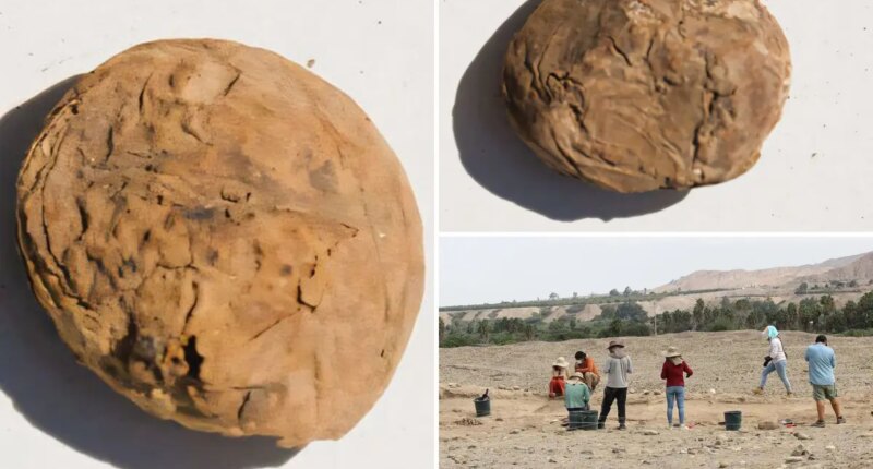 Archaeologists uncover freeze-dried potatoes older than the US in 'excellent' condition