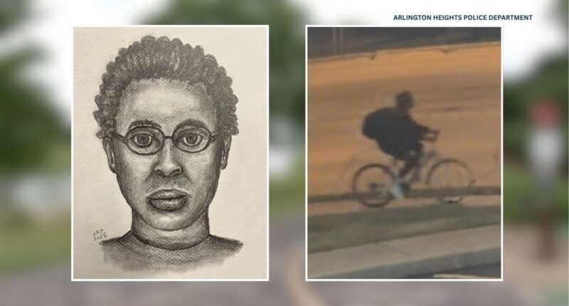 Arlington Heights attack: Police release sketch of suspect on bicycle accused of attacking woman near Lake Arlington, IL