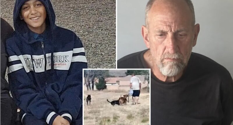 Arrest after dogs chased 12-year-old boy to his drowning death at California park