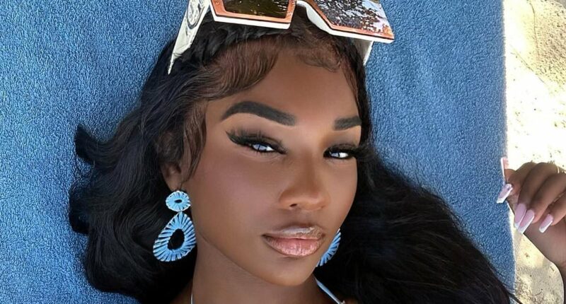 Ashlee Jenae asked ChatGPT disturbing suicide question before death