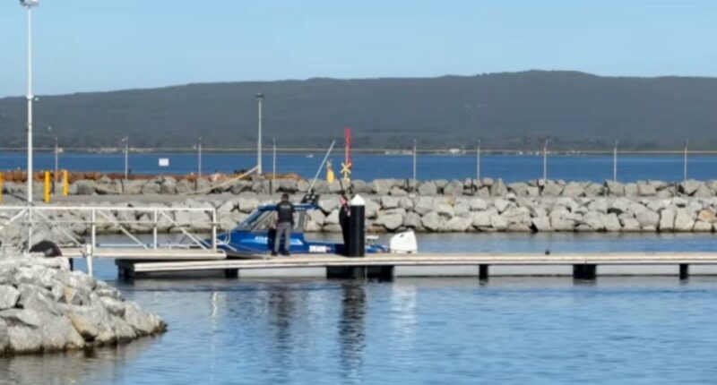Australian diver killed by shark in third fatal attack in three weeks