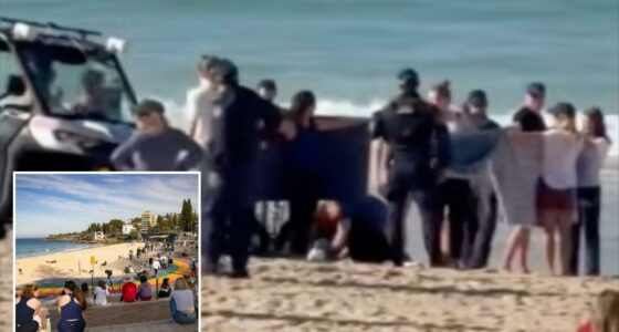 Australian swimmer critically injured in shark attack at Sydney's Coogee Beach