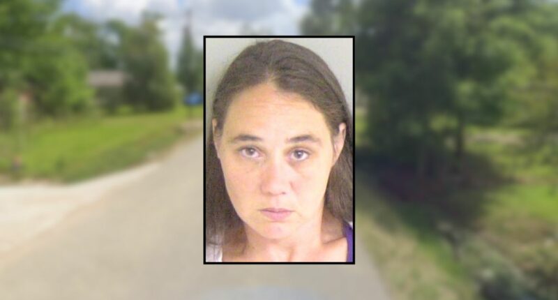 Babysitter let boy, 3, drown in backyard pool: Deputies