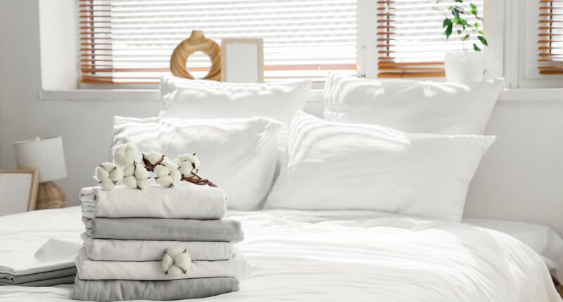 Bed & Isa transfers soar as investors race to protect wealth from tax raids