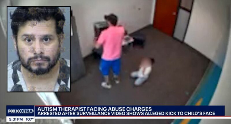 Behavioral therapist kicked 5-year-old with autism: Police