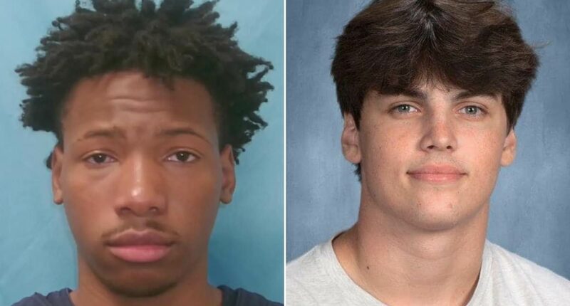 Black teen who knifed white student to death in US jailed for 35 years